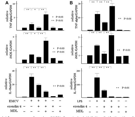 Figure 2 From Exendin 4 A Glucagon Like Peptide 1 Receptor Agonist Suppresses Pancreatic β