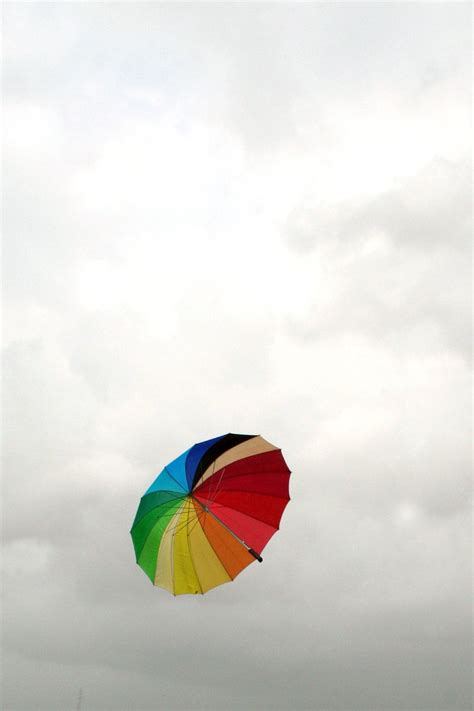 Lost Umbrella Free Photo Download | FreeImages