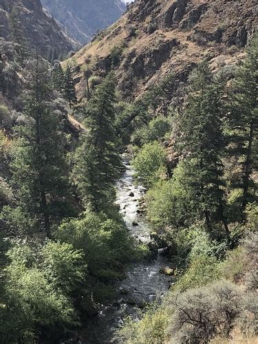 Rapid River Trail Riggins Idaho Hike To Potter Flat Jason Talbot