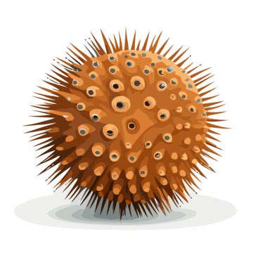 Sea Urchin Vector, Sticker Clipart An Illustration Of A Yellow Virus ...