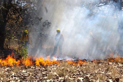 Se Registran 39 Incendios Forestales En México