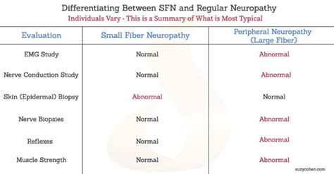 Small Fiber Neuropathy Causes And Treatment Artofit