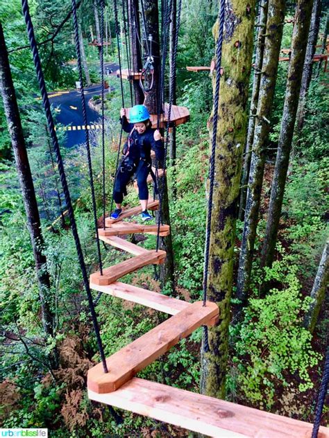 Skamania Lodge New Aerial Park And Rustic Pacific Nw Charm