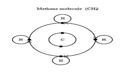 Draw Models Representing An Atom Of Carbon And A Molecule Of Methane