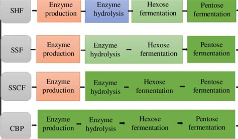 Overview Of Bioprocessing Technologies For The Conversion Of