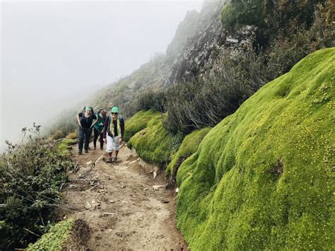 HIKING RUCO PICHINCHA IN THE HEART OF QUITO - JIZO Travel Recommendation