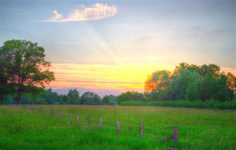 Wallpaper Field The Sky Grass Clouds Trees Sunset The Fence The