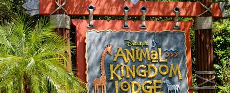 Un Hotel De Reve Animal Kingdom Lodge Raconte Moi Disneyland