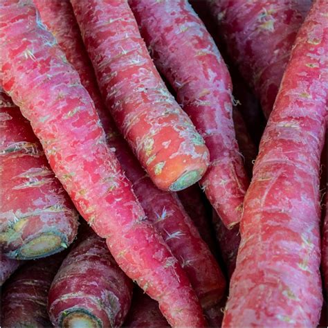 Carrot Seeds Australia Huge Range To Buy Online Happy Valley Seeds