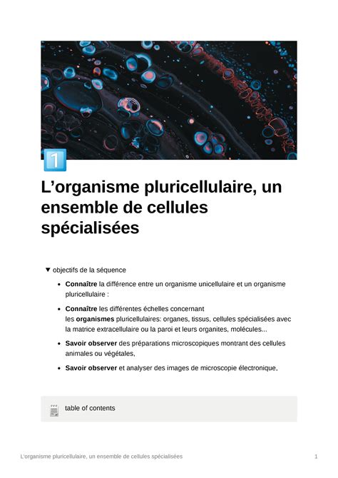 L Organisme Pluricellulaire Un Ensemble De Cellules Sp Cialis S L