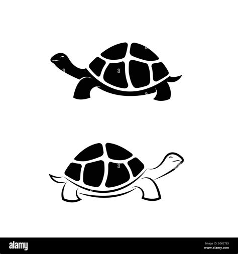 Vector De Diseño De Tortuga Terrestre Sobre Fondo Blanco Ilustración De Vector En Capas Fácil