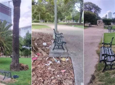 Cubano Denuncia El Estado De Abandono De Los Parques En El Vedado La