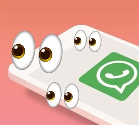 El Parroquiano Cómo ver las fotos que desaparecen de WhatsApp una y