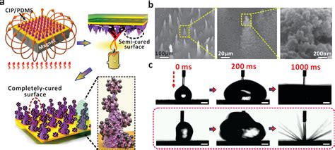 澳门大学周冰朴课题组《chem Eng J》：耐用的柔性超疏水薄膜中国聚合物网科教新闻