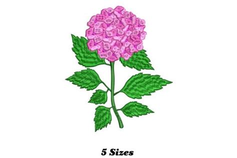 16 Machine Hydrangea Flower Embroidery Designs Designs Graphics