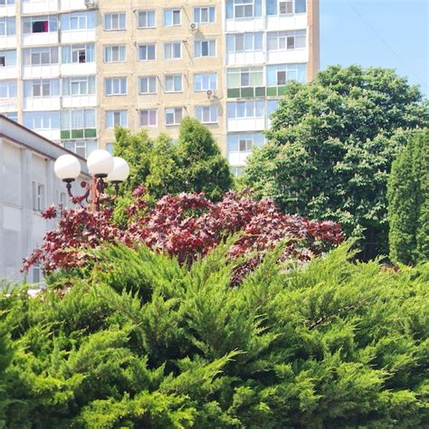 Al Fondo Hay Un Edificio Con Muchas Ventanas Foto Premium