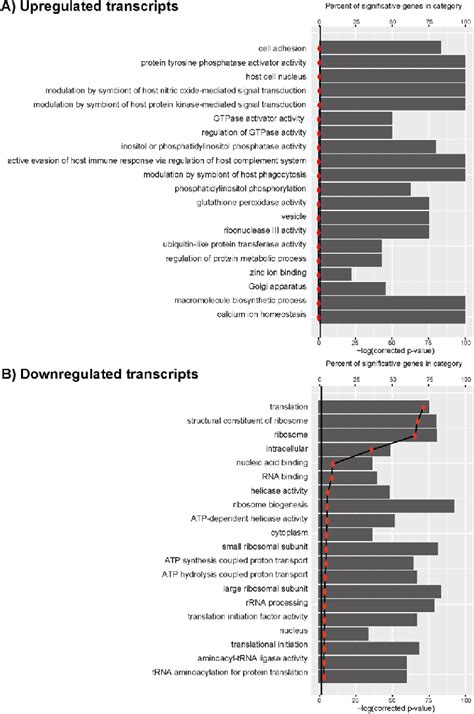 Gene Ontology Go Analysis Of Upregulated Panel A And Downregulated Download Scientific