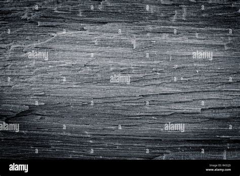 Birch wood texture Stock Photo - Alamy