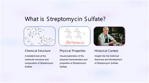 Streptomycin Sulfate API Versatile Applications And Benefits PPT