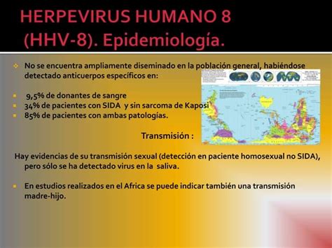 Herpesvirus Humano Y Ppt