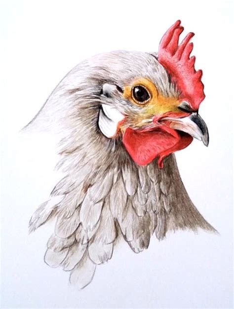 Pin By Kay Waldron On Painting Chicken Heads Chicken Painting