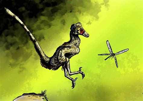 Hesperonychus Pictures & Facts - The Dinosaur Database