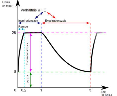 Model Atmung Beatmung Karteikarten Quizlet