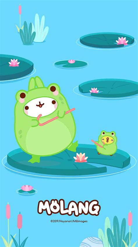 Froggy Molang Piu Piu Mobile R Molang Molang And Piu Piu HD Phone