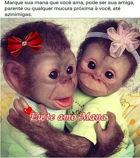 Eu Te Amo Fotos De Animais Engraçados Macacos Engraçados Animais De