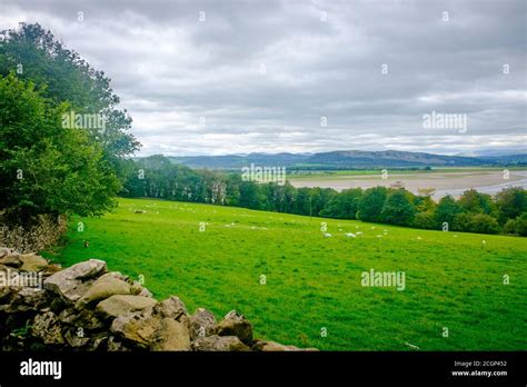 Whitbarrow Scar Hi Res Stock Photography And Images Alamy