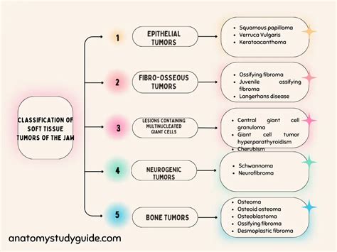 Ameloblastoma Radiology and Ameloblastoma Treatment - Anatomy Study Guide