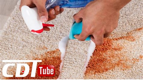 Comment nettoyer son tapis à la perfection CDT NEWS YouTube