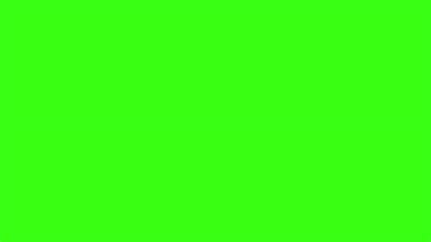 300 Neon Green Backgrounds