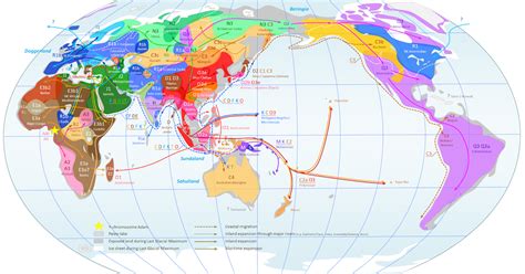 Dienekes Anthropology Blog World Map Of Y Chromosome Haplogroups