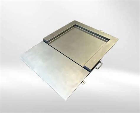 Stainless Steel Drive In Platform Scale E Stevens Traceability