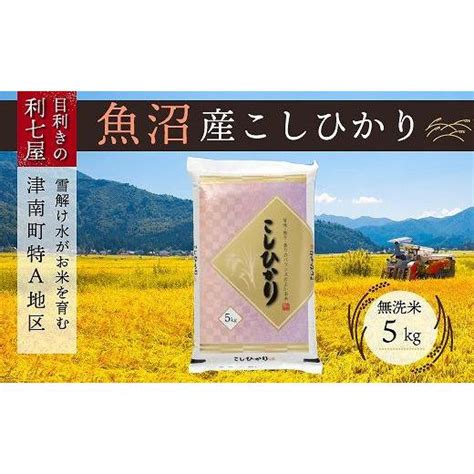 ふるさと納税 新潟県 津南町 【令和5年産 新米】【魚沼産コシヒカリ 無洗米5kg】雪解け水がお米を育む、津南町特a地区の美味しいお米