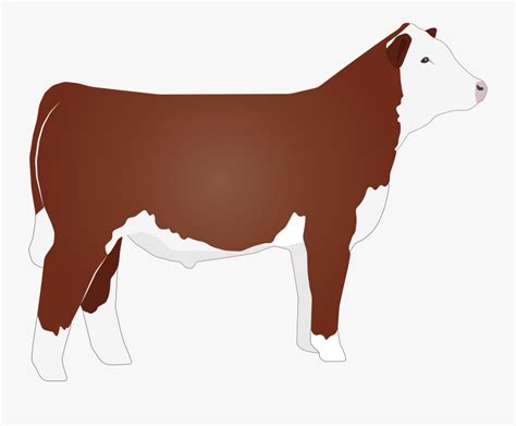 Beef Vector Hereford Cow - Hereford Cattle Clipart , Free Transparent ...