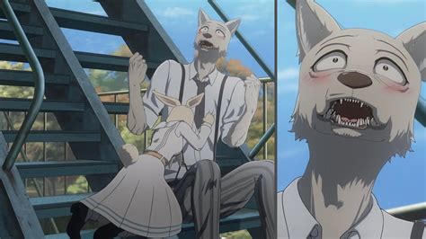 Haru And Legoshi Official Beastars Season 2 Episode 10 Review YouTube