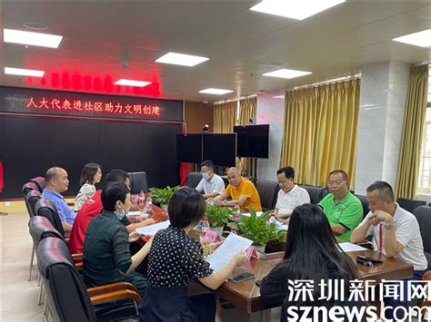 文明创建丨全民齐参与 罗湖区莲塘街道让文明之花尽情绽放深圳新闻网