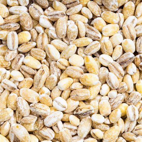 premium photo uncooked pearled barley grains close