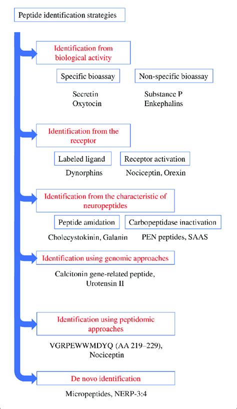 Schematic Representation Summarizing The Various Strategies Of