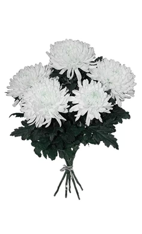 Букет из 5 крупных хризантем – купить в Тюмени с доставкой по низкой ...