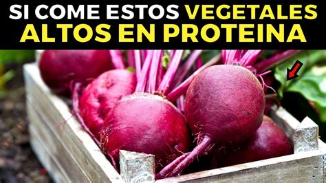 Descubre Cuáles Verduras Son Altas En Proteína Conoce Las Mejores