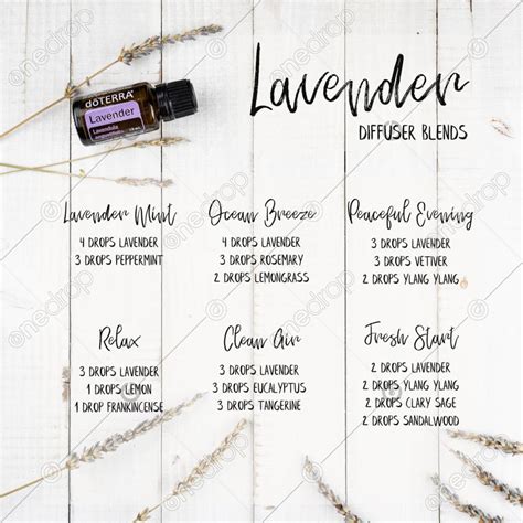 dōTERRA Lavender Diffuser Blends on white wood with lavende by Sally Sosler