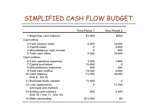 Chapter 11cash Flow Budgeting