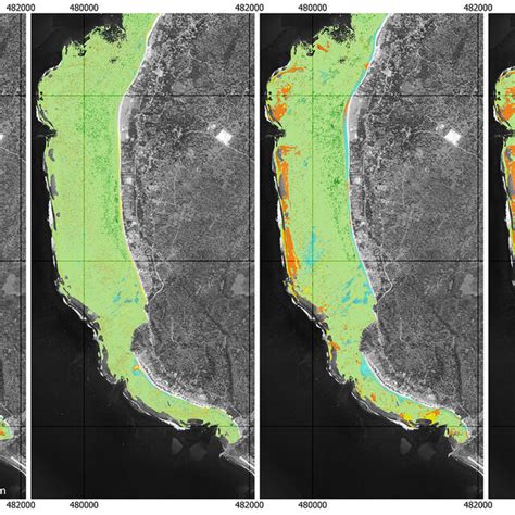 Seagrass Biodiversity Mapping Results Based On The Scheme In Tables Download Scientific Diagram