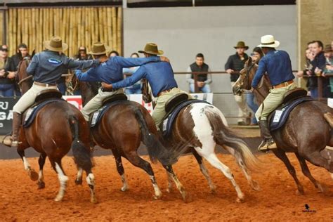 Exposi O Nacional Do Cavalo Mangalarga Reuniu Competidores De Oito