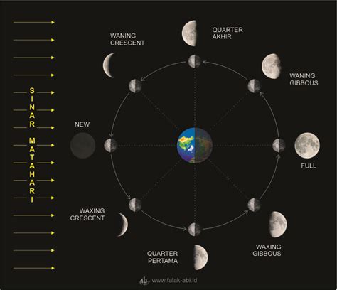 Posisi Bulan Bumi Dan Matahari Pada Gambar Menunjukkan Terjadinya Pulp