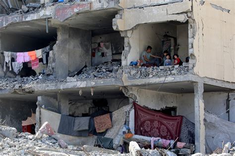 Fome Em Gaza Organiza Es Pedem Reconhecimento Oficial