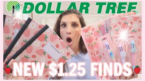 Omg Dollar Tree Haul 🍓strawberry And Pink Dream 2022 School